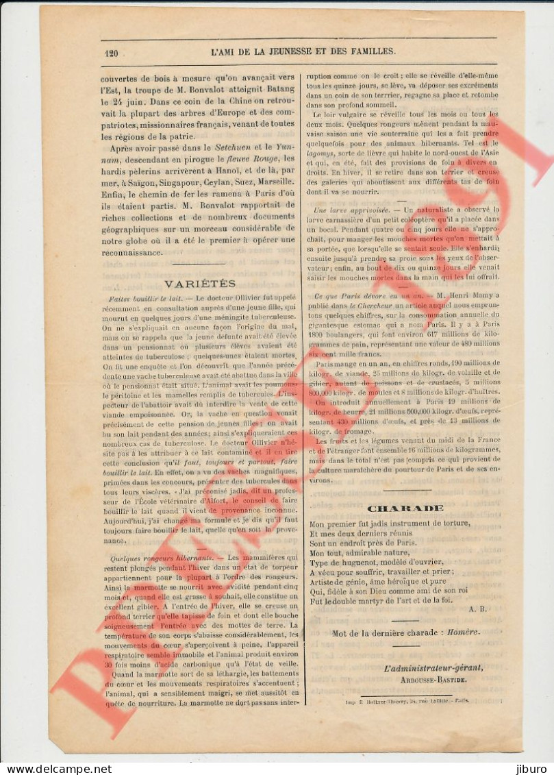 4 Vues Humour Chat Animal Escarbot Symmons Dadd (Lucane Insecte) Paris Tonkin Bonvalot Henri D'Orléans Tibet Expédition - Non Classificati