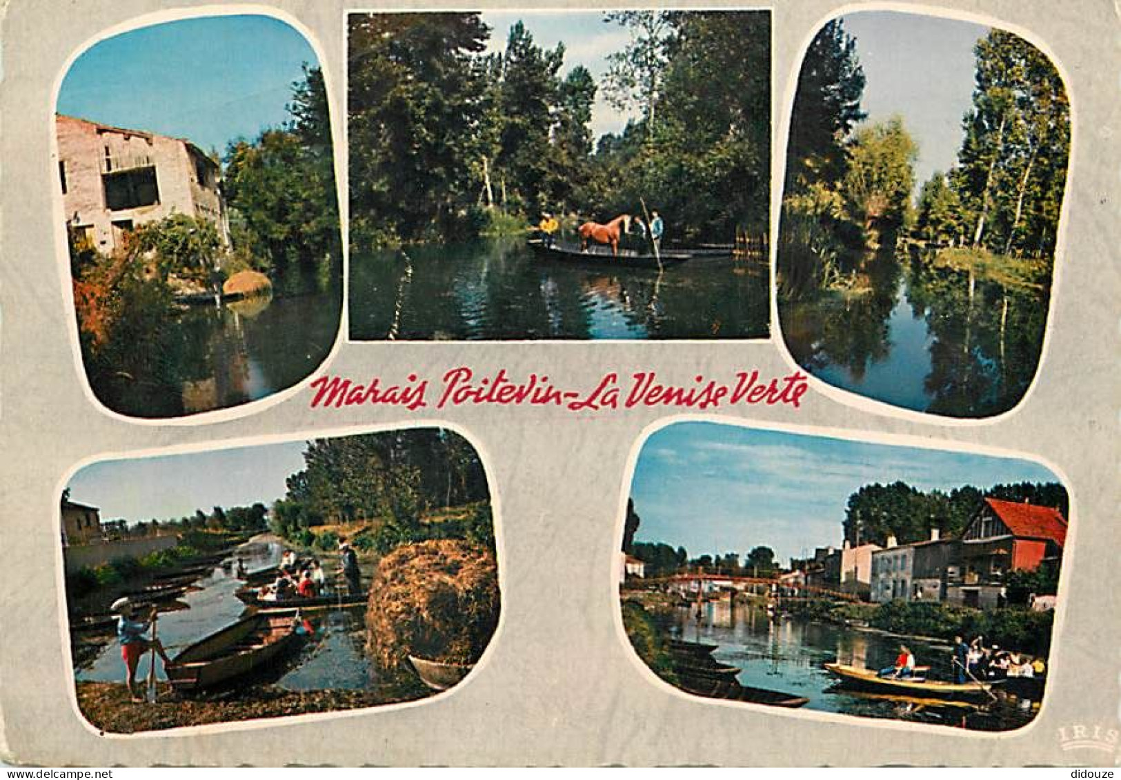 79 - Le Marais Poitevin - Venise Verte - Multivues - CPM - Voir Scans Recto-Verso - Autres & Non Classés