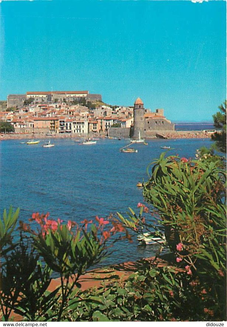 66 - Collioure - Vue Générale - CPM - Voir Scans Recto-Verso - Collioure