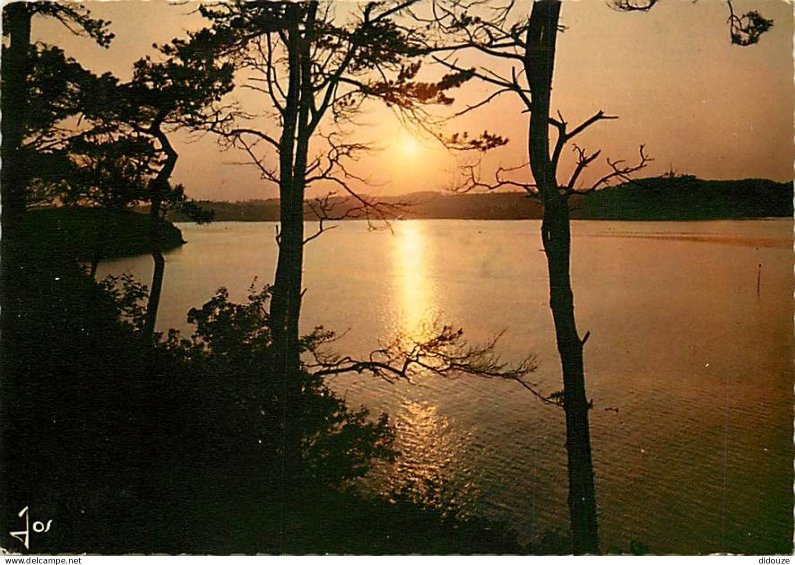 22 - Paimpol - Coucher De Soleil Sur La Baie - CPM - Voir Scans Recto-Verso - Paimpol