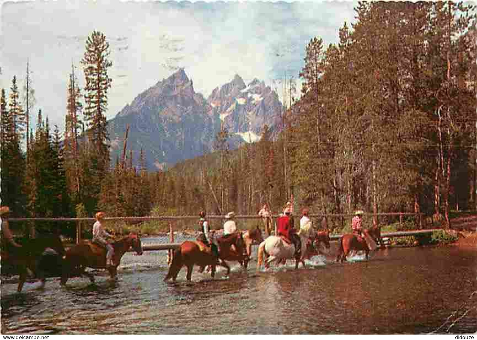 Animaux - Chevaux - Horseback Riding In Grand Teton National Park - Wyoming - CPM - Voir Scans Recto-Verso - Chevaux