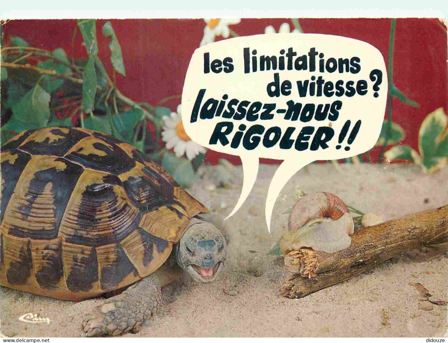 Animaux - Tortue - Carte à Message - CPM - Voir Scans Recto-Verso - Schildkröten