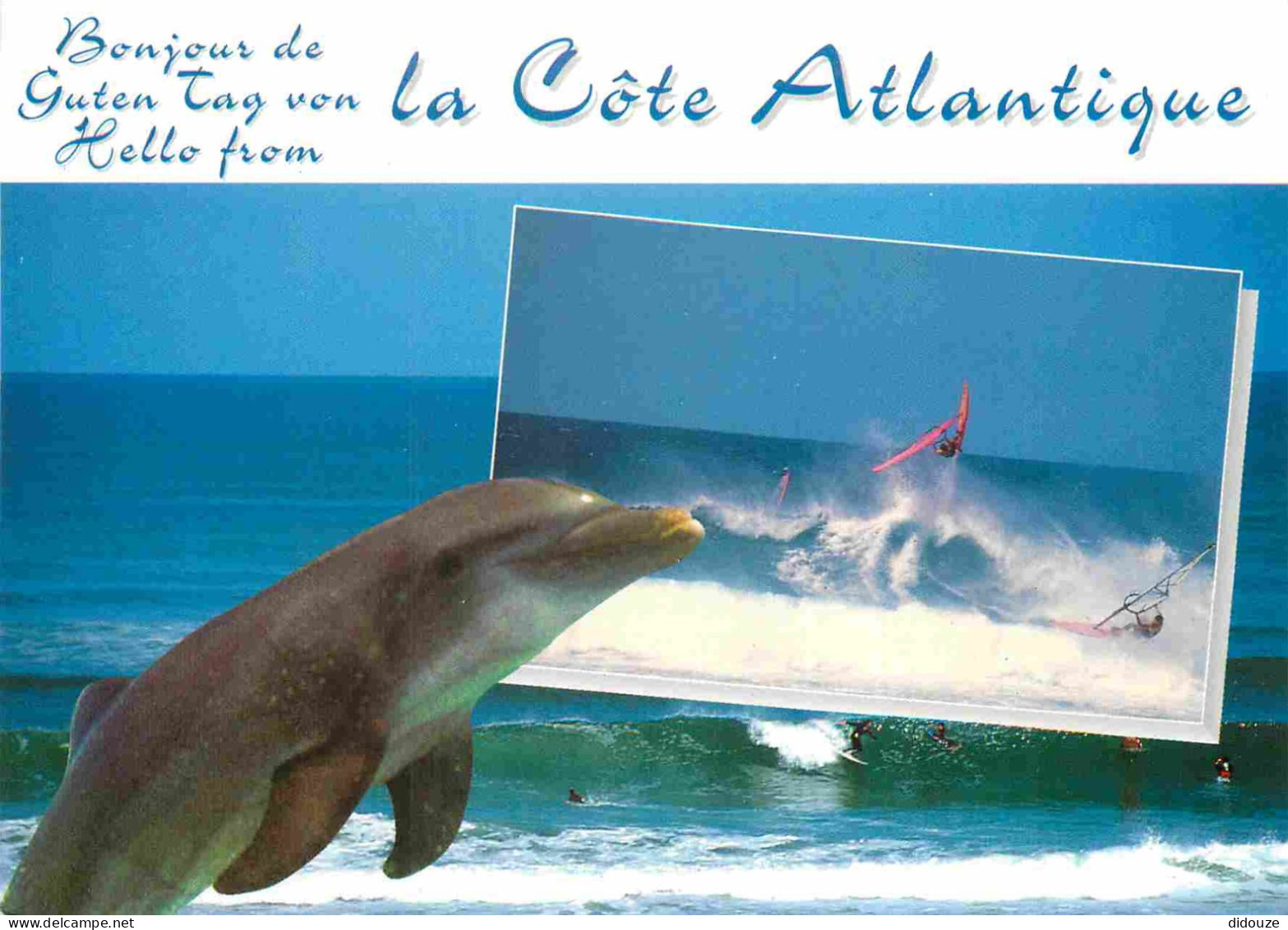 Animaux - Dauphin - Dolphin - Carte à Message - CPM - Carte Neuve - Voir Scans Recto-Verso - Dolphins