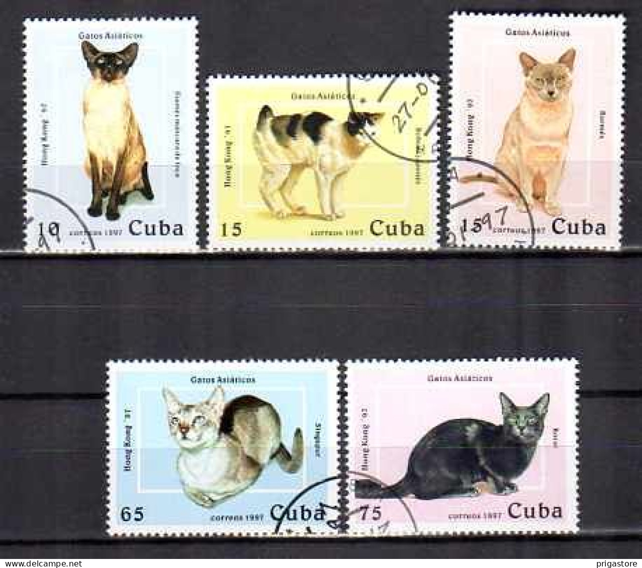 Cuba 1997 Chats (13) Yvert N° 3600 à 3604 Oblitérés Used - Used Stamps