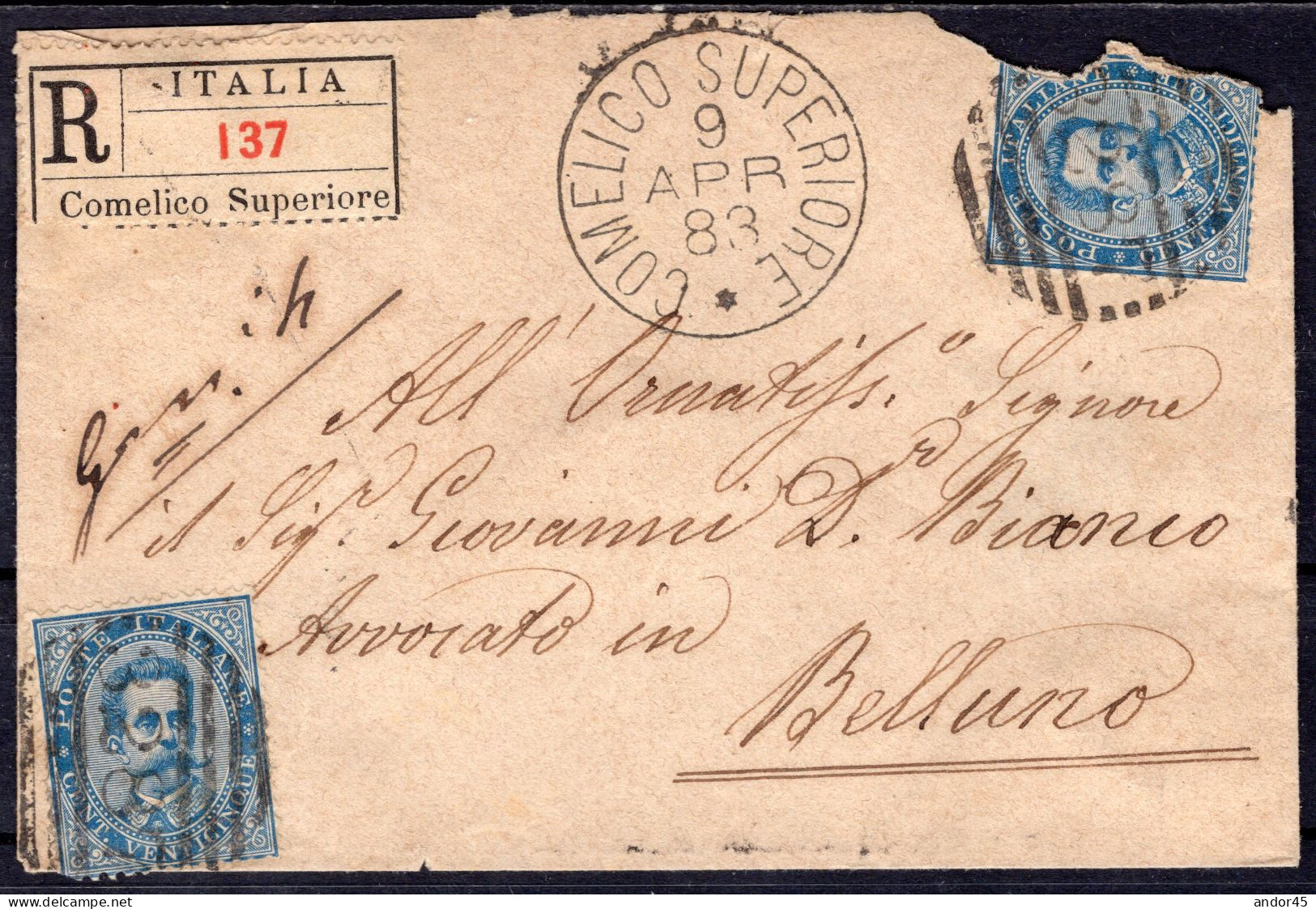 1893 9 APR DUE ESEMPLARI DEL  C.25 SASS.40 "EFFIGIE DI UMBERTO I"USATO SU RACCOMANDATA  DA  COMELICA SUPERIORE X BELLUNO - Poststempel