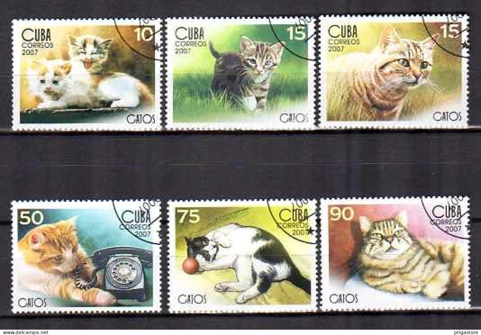 Cuba 2007 Chats (15) Yvert N° 4446 à 4451 Oblitérés Used - Used Stamps