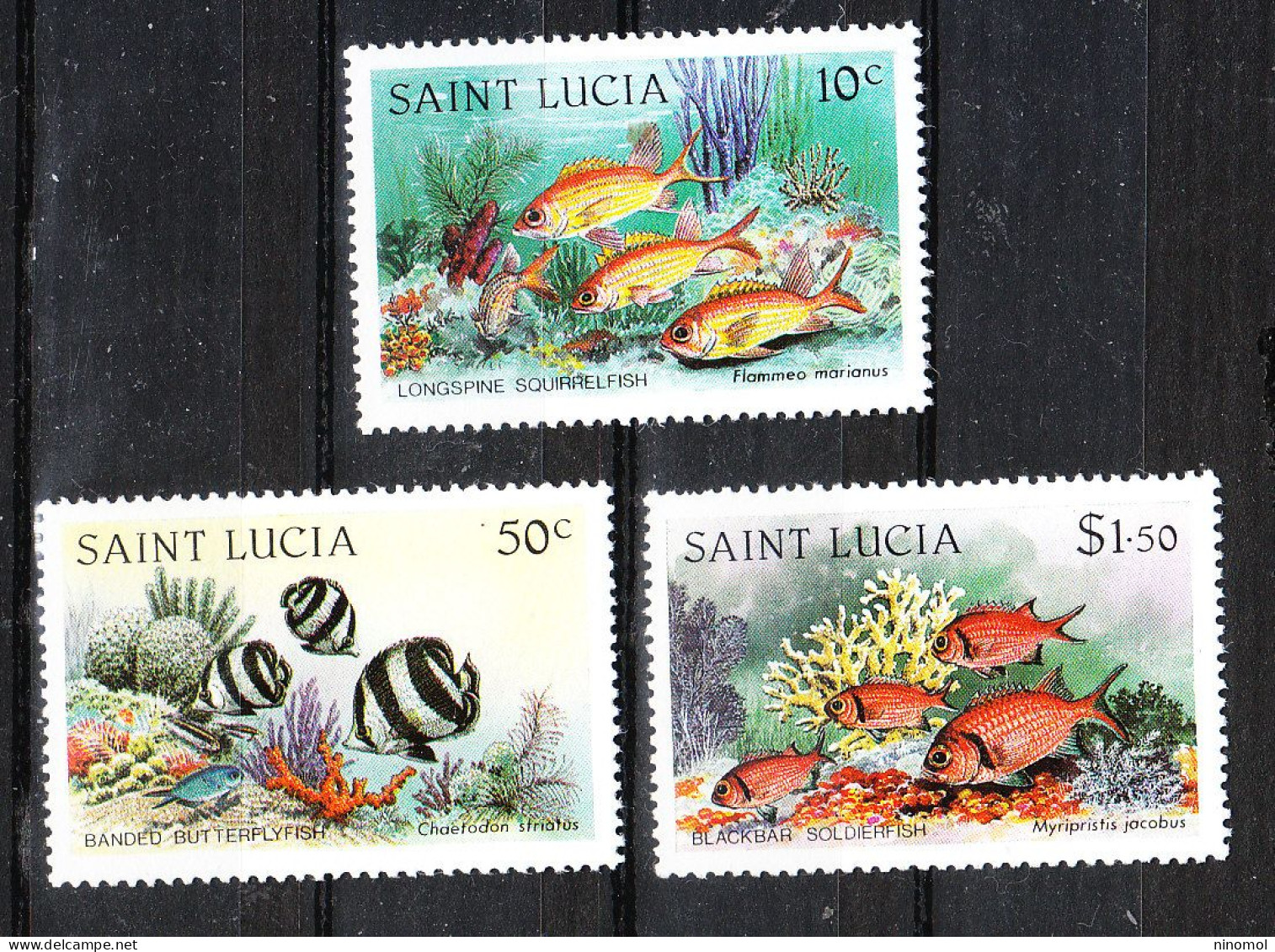 St. Lucia   -   1983. Pesci Classici Del Rif Corallino. Classic Reef Fish.MNH - Peces