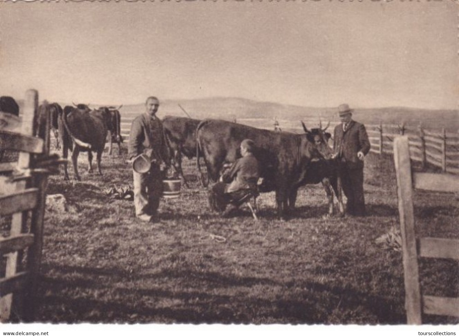 CPSM 15 @ CANTAL - La Traite Des Vaches En Montagne Près D'un Buron - Autres & Non Classés