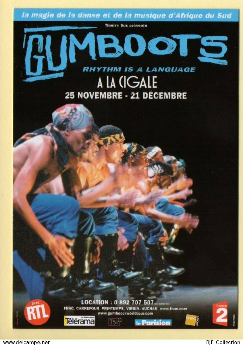 GUMBOOTS à La Cigale / Danse - Danse