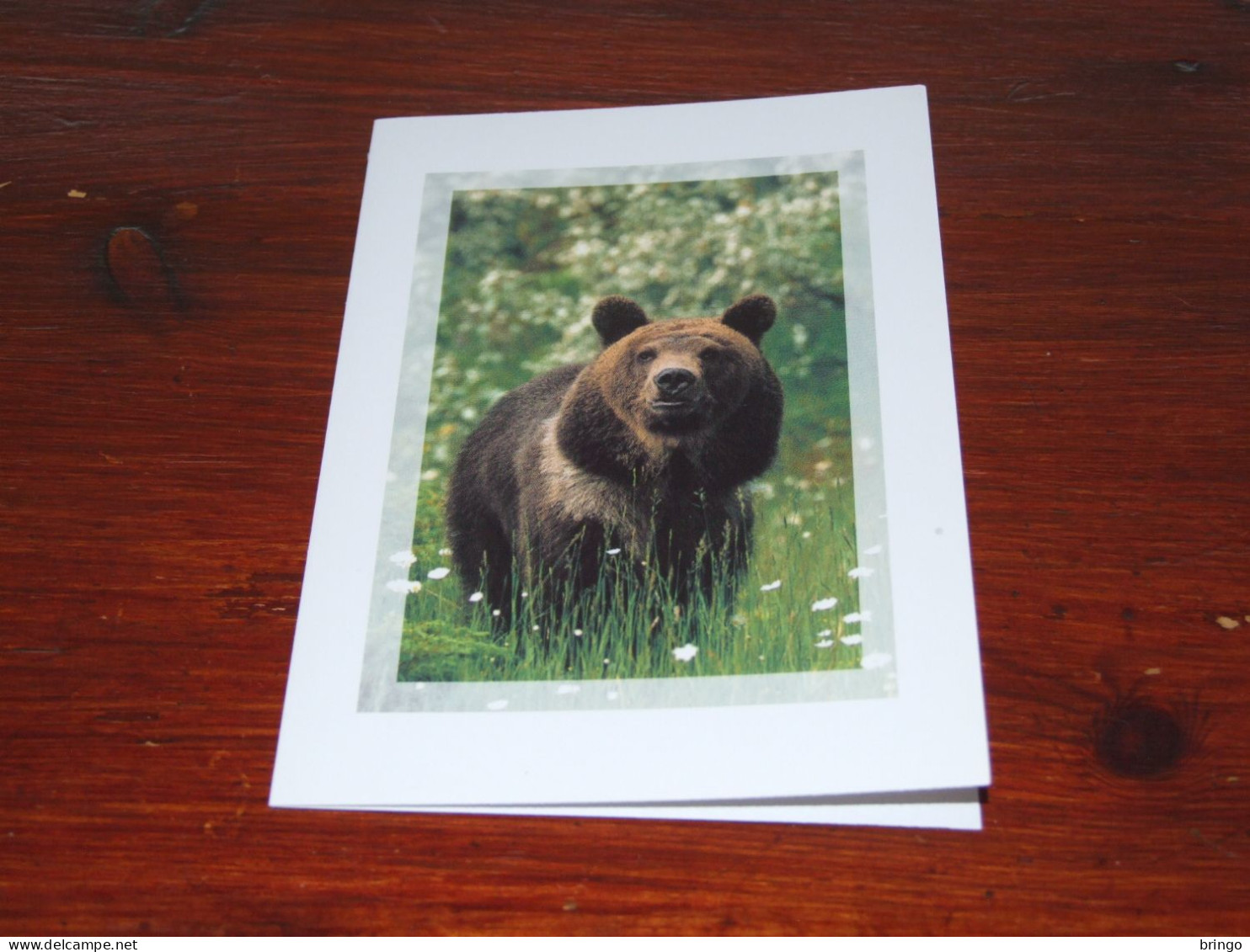 73378-         DOUBLE CARD - BEREN / BEARS / BÄREN / OURS / ORSI - Bears