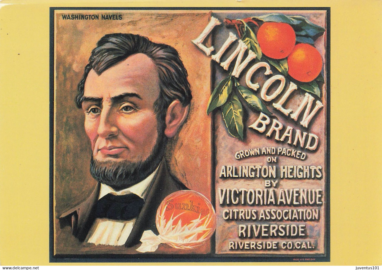 CPSM Publicité-Lincoln-Sunkist Orange Label     L2797 - Publicité