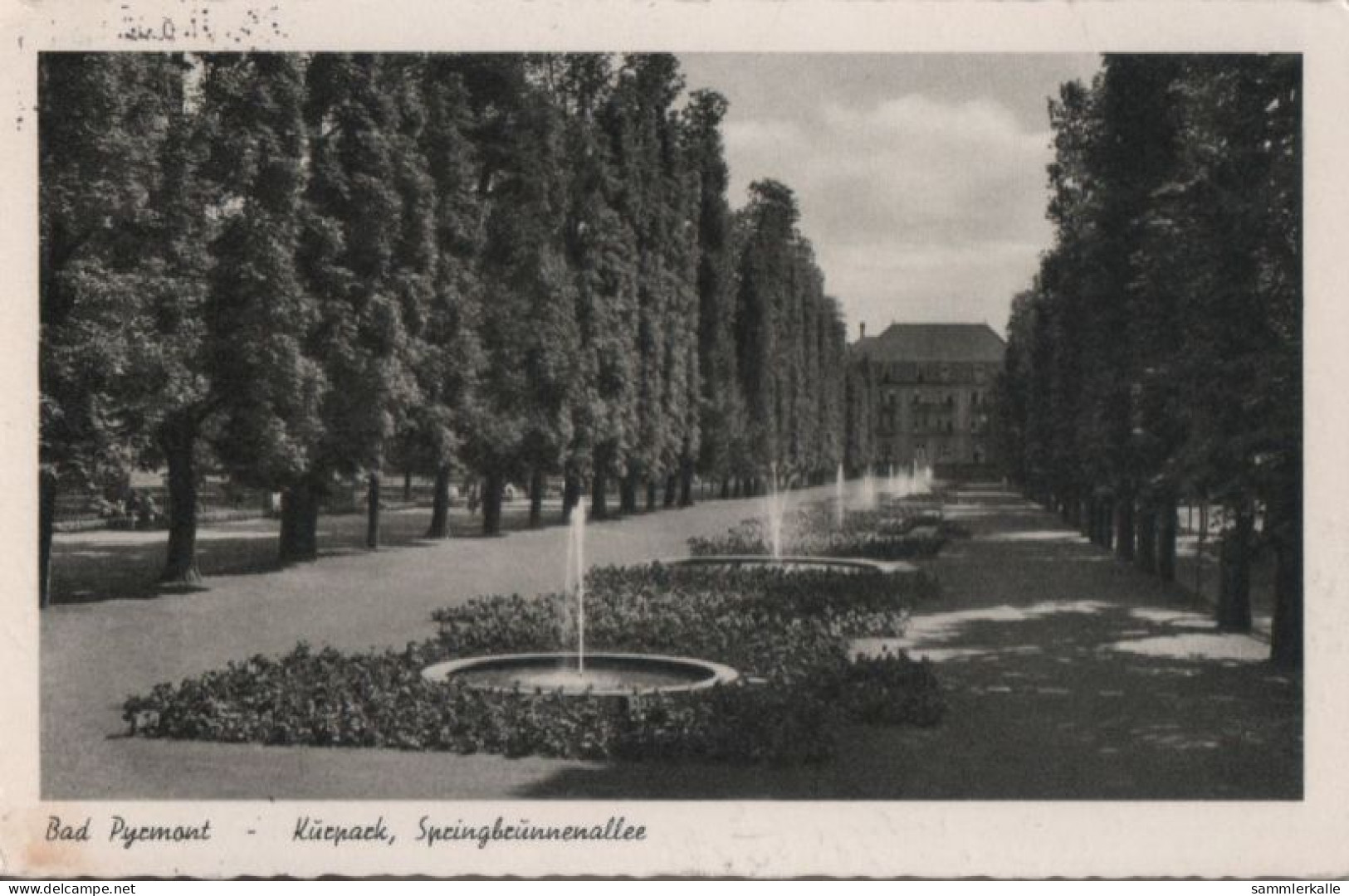 38486 - Bad Pyrmont - Kurpark, Springbrunnenallee - 1955 - Bad Pyrmont