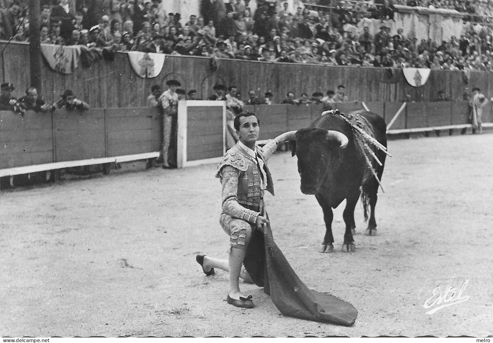 CPSM - CORRIDA DE TOROS - UN DESPLANTE - DEL MATADOR LUIS MIGUEL DOMINGUIN - Toros