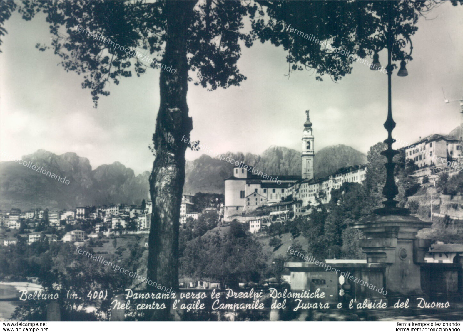 Ab163 Cartolina Belluno Citta' Panorama Verso Le Prealpi Dolomitiche - Belluno