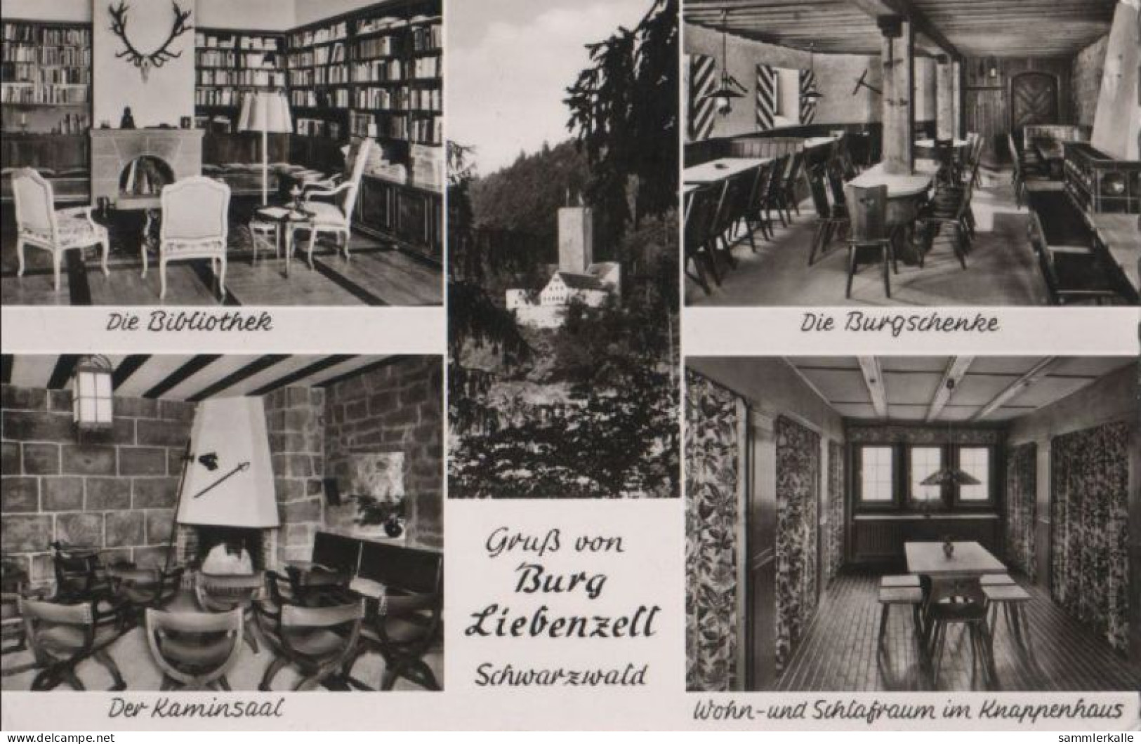 84632 - Bad Liebenzell - Burg - Ca. 1960 - Calw