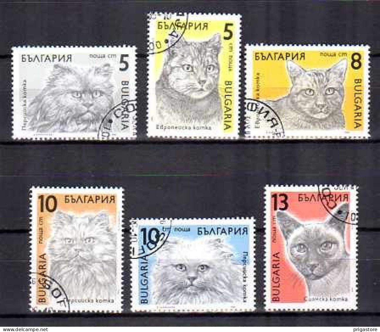 Bulgarie 1989 Chats (24) Yvert N° 3286 à 3291 Oblitérés - Usati