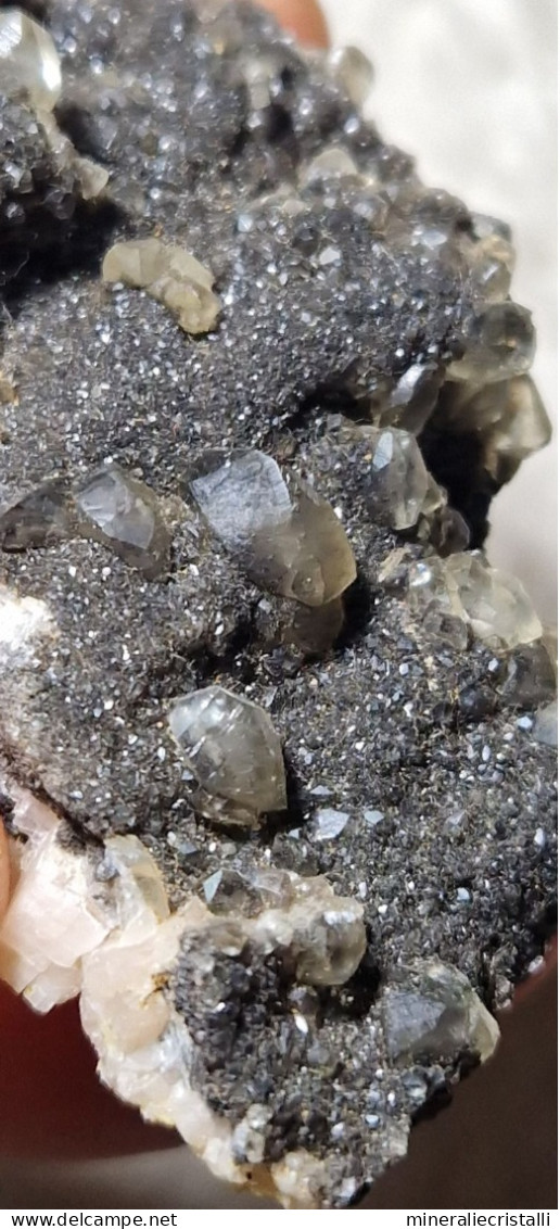 Ematite Minerale@ Ematite Calcite Cristalli Stahlberg Mt-Rimbach Pres Masevaux Francia - Minéraux