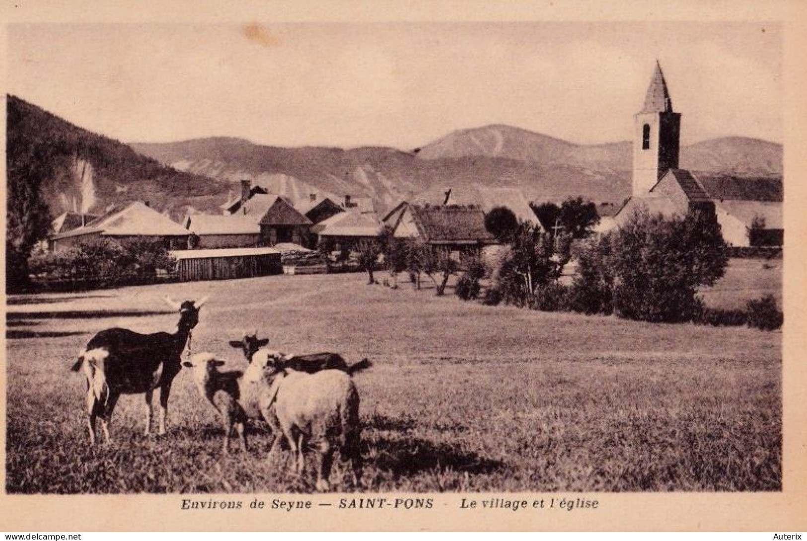 04 St Saint Pons Seyse Village Eglise Moutons Chevre Goat - Sonstige & Ohne Zuordnung