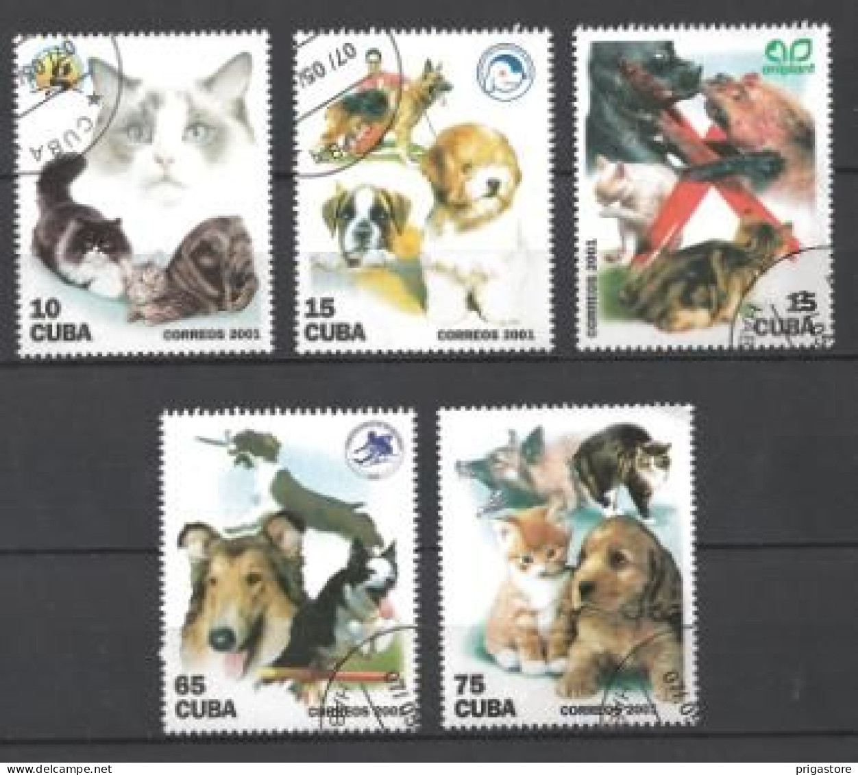 Cuba 2001 Chats (25) Yvert N° 3927 à 3931 Oblitérés - Used Stamps