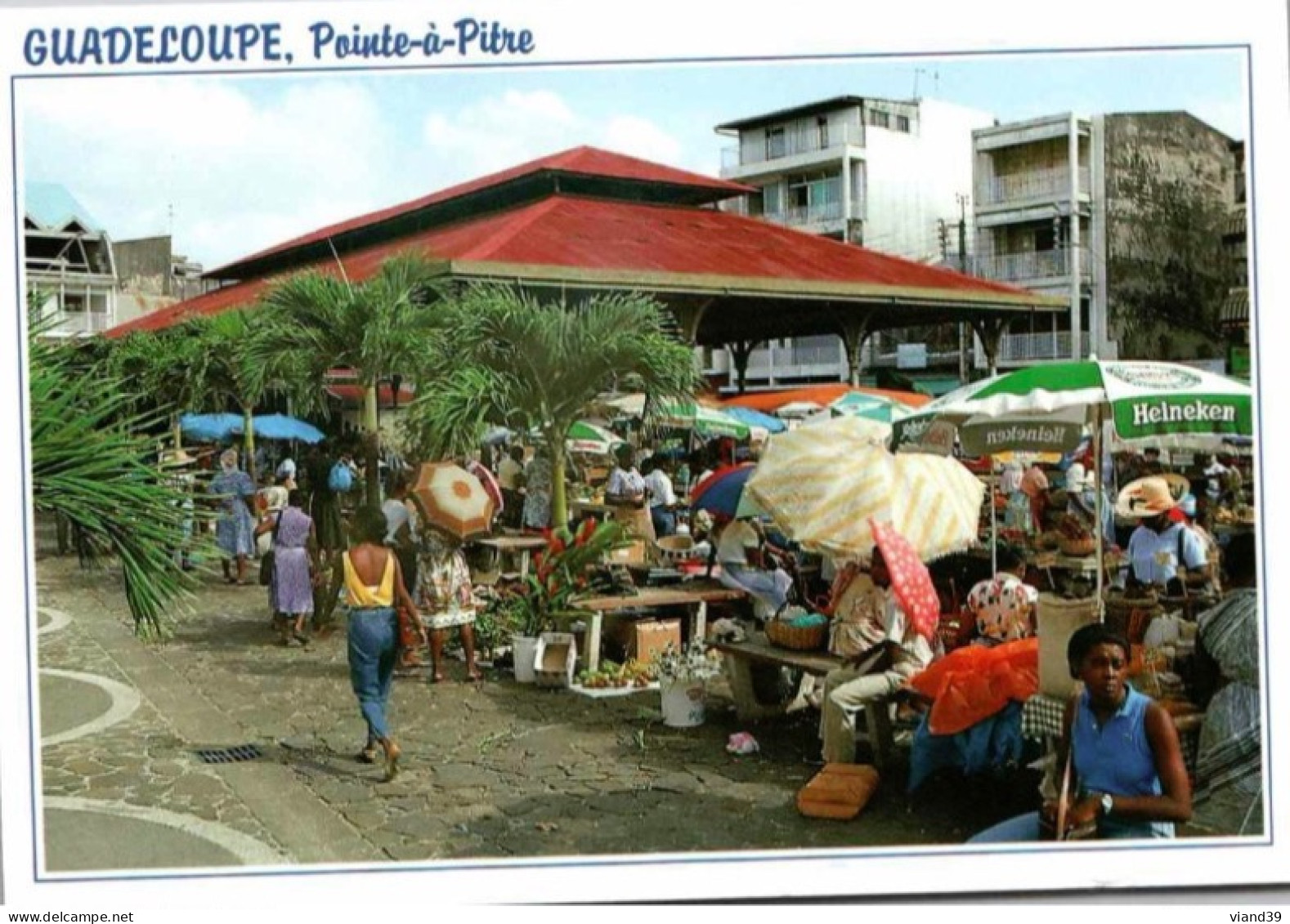 GUADELOUPE. - Pointe à Pitre. :  Marché Saint Antoine.       Cachet Postal. 1995 - Pointe A Pitre