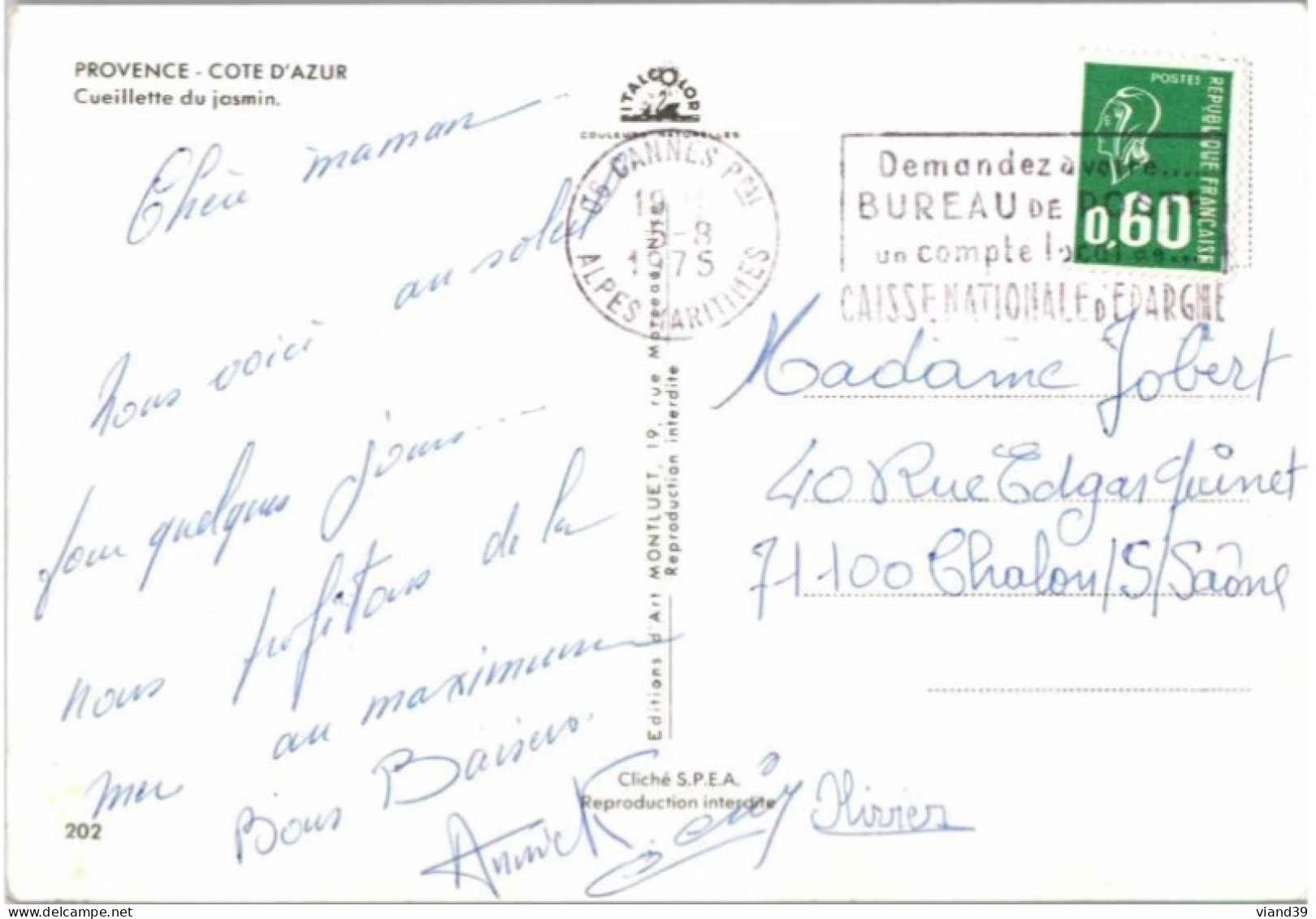 Cueillette Du Jasmin.   -    Cachet Postal. Aout 1975 - Provence-Alpes-Côte D'Azur