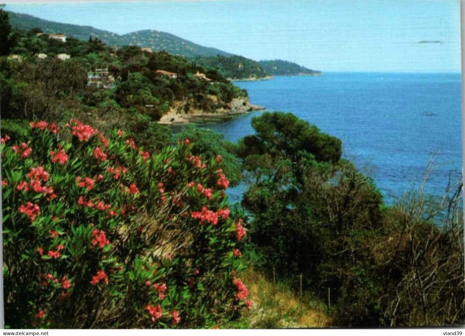 Rivages Fleuris De La Méditerranée.    Carte Façon Toilée - Provence-Alpes-Côte D'Azur