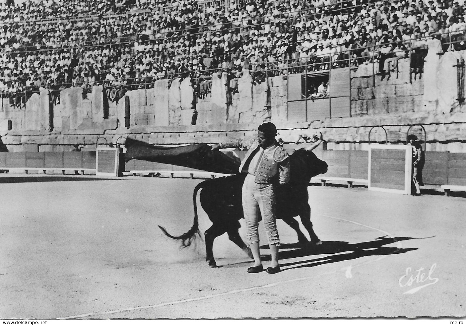 CPSM - CORRIDA DE TOROS - Passe Dite Manoletina. - Toros