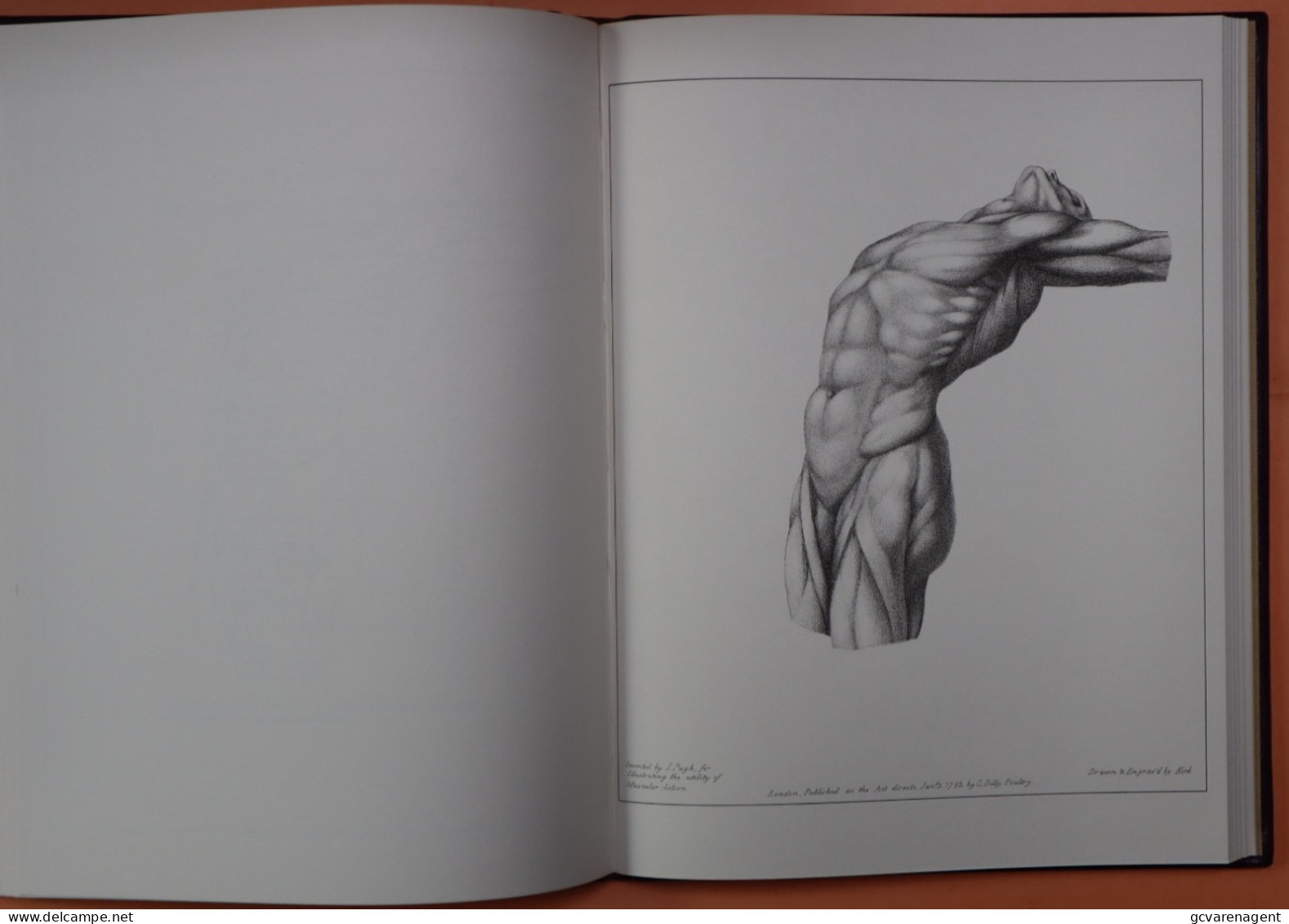 !!! COPY - ANTREATISE ON THE SCIENCE OF MAUSCULAR ACTION  BY JOHN PUGH ANATOMIST  LONDON - SEE DESCRIPTION AND IMAGES