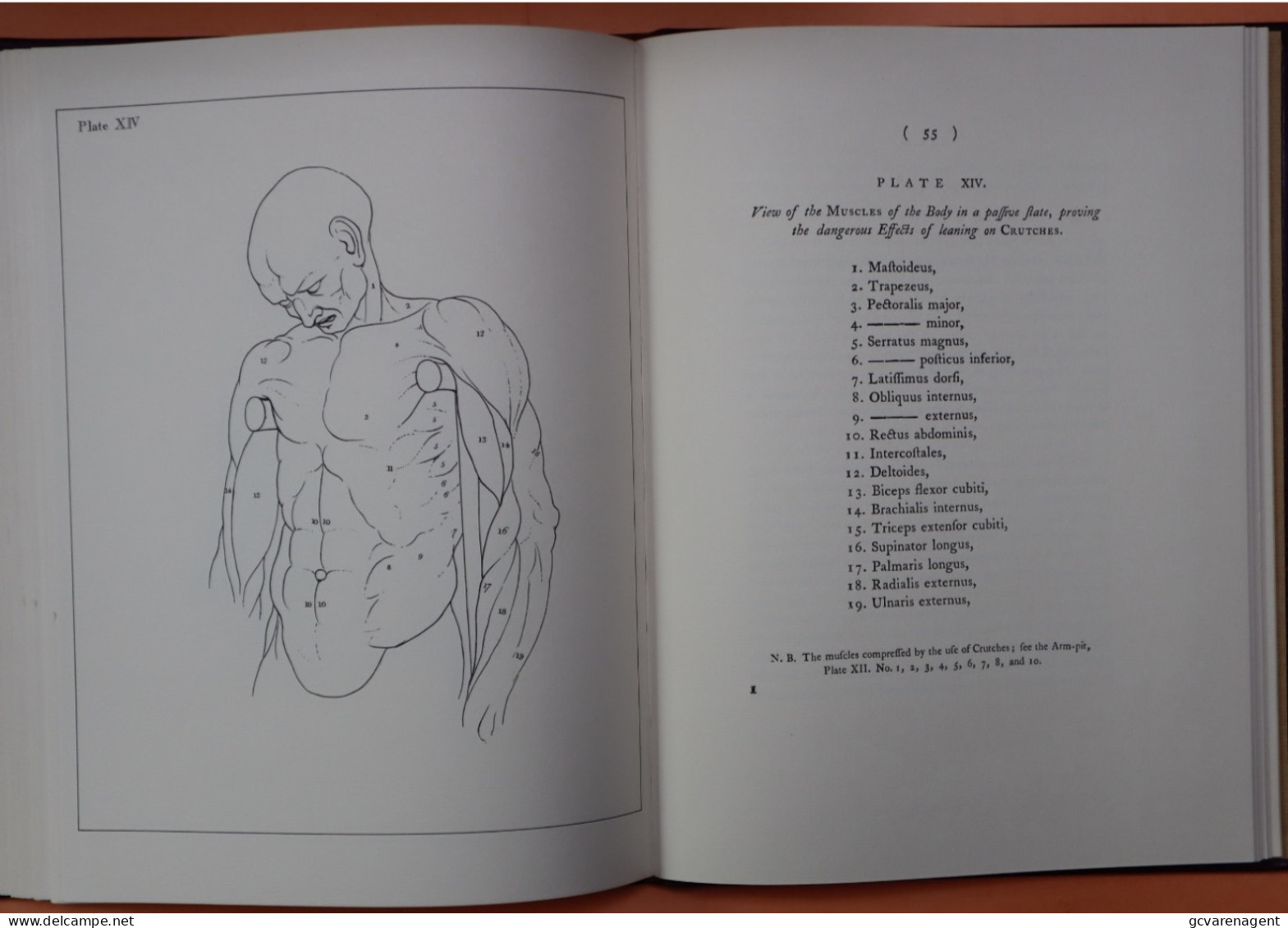 !!! COPY - ANTREATISE ON THE SCIENCE OF MAUSCULAR ACTION  BY JOHN PUGH ANATOMIST  LONDON - SEE DESCRIPTION AND IMAGES
