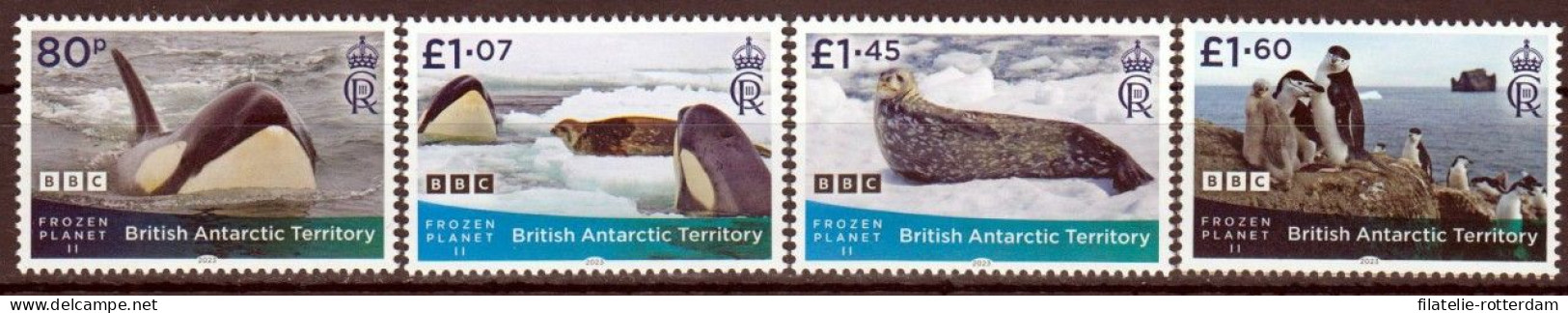 BAT - Postfris / MNH - Complete Set Polar Animals 2023 - Unused Stamps