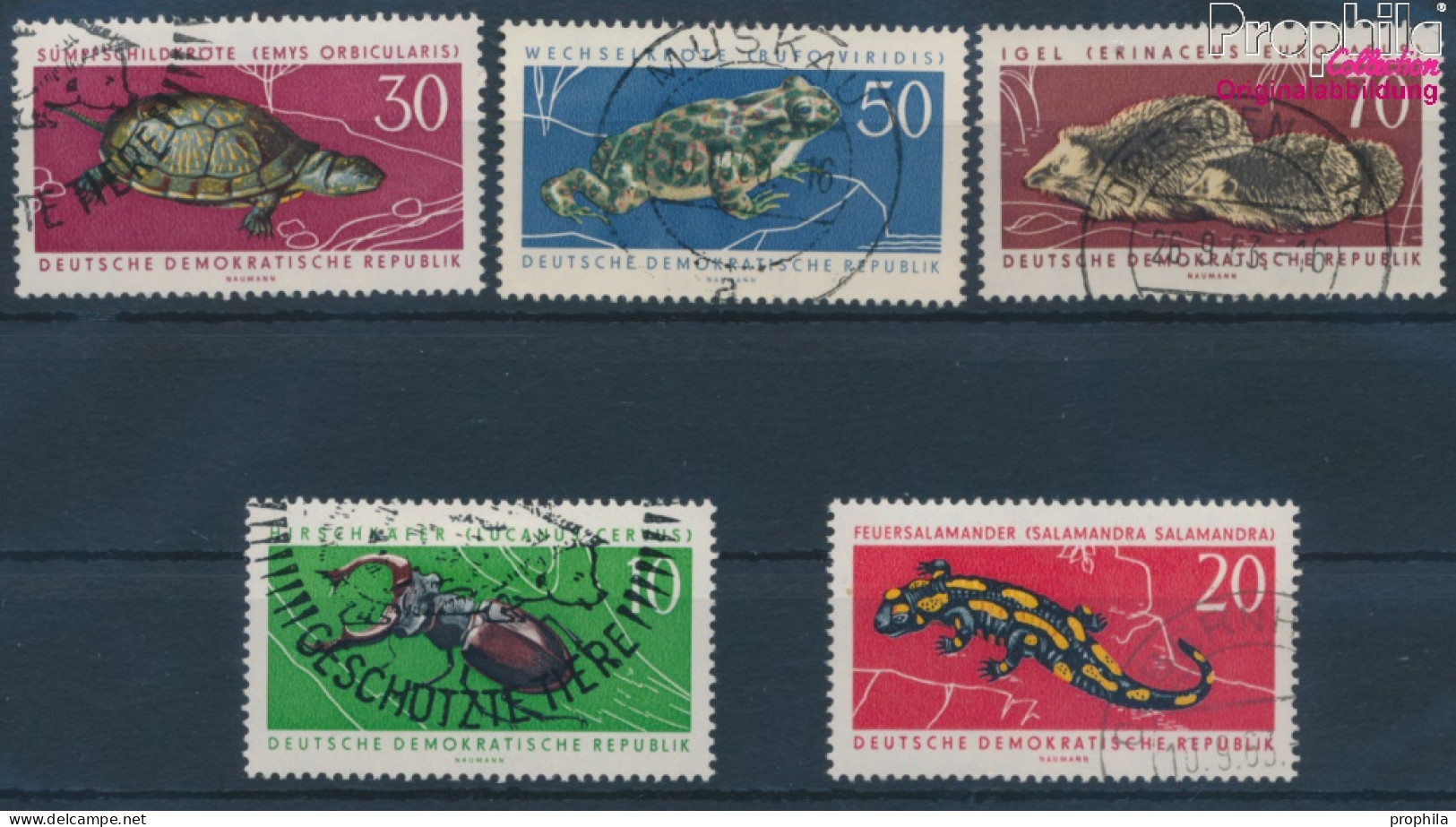 DDR 978-982 (kompl.Ausgabe) Gestempelt 1963 Geschützte Tiere (10356979 - Used Stamps