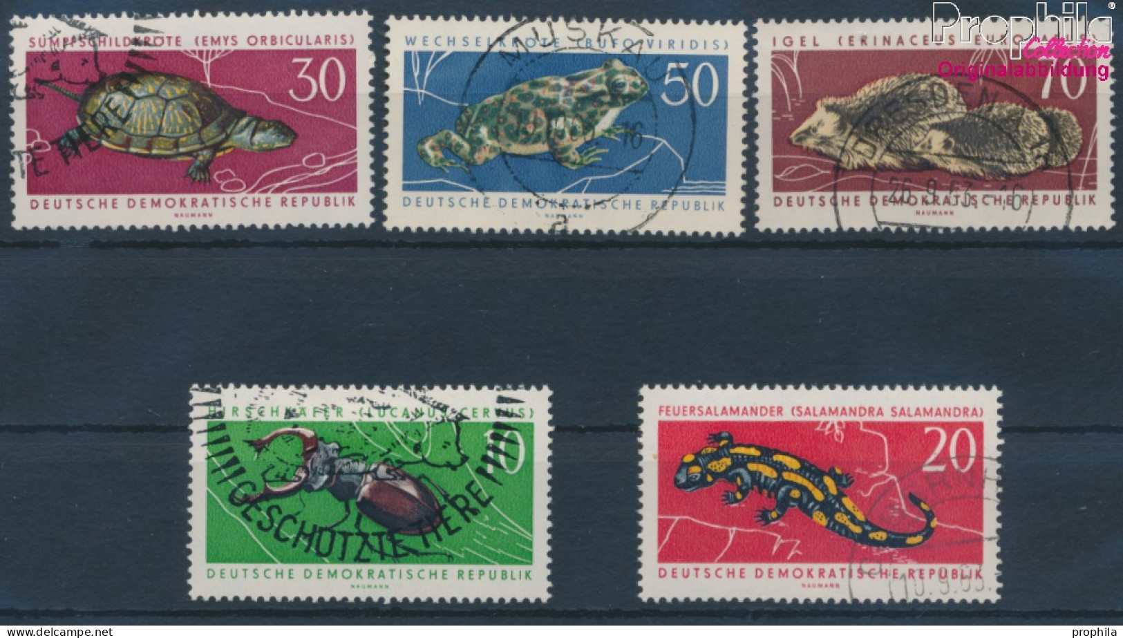 DDR 978-982 (kompl.Ausgabe) Gestempelt 1963 Geschützte Tiere (10356979 - Usados