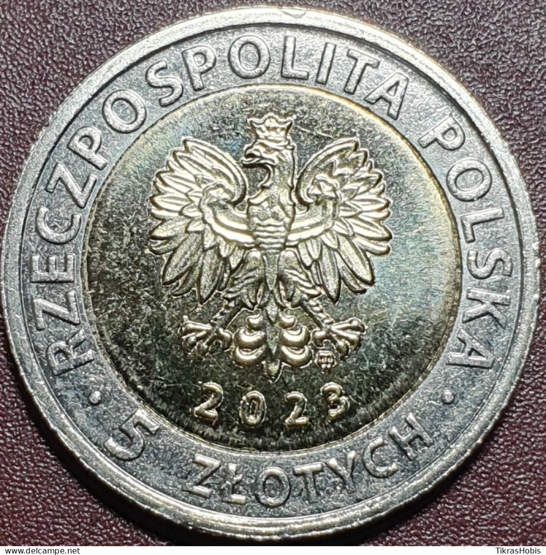 Poland 5 Zloties, 2023 Goscowo-Paradyz UC114 - Polen