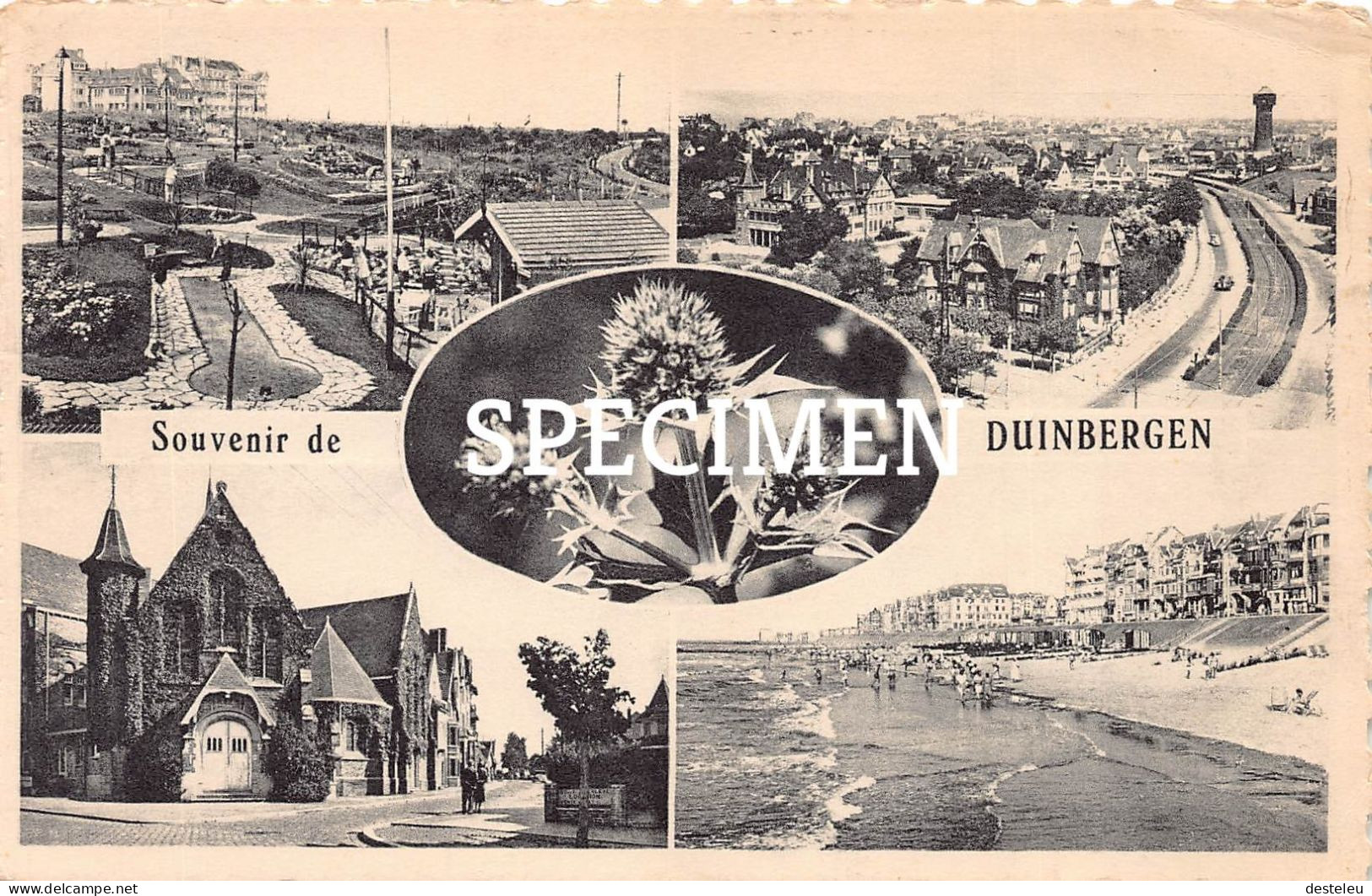 Souvenir De Duinbergen - Knokke