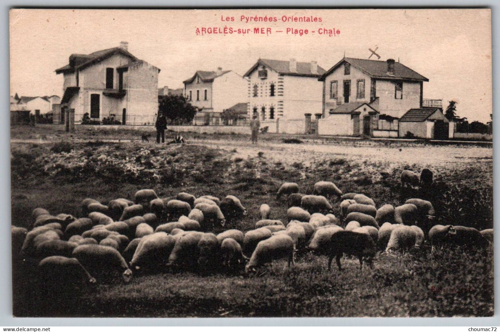 (66) 436, Argelès Sur Mer, Edit Azéma, Plage, Chalet - Argeles Sur Mer