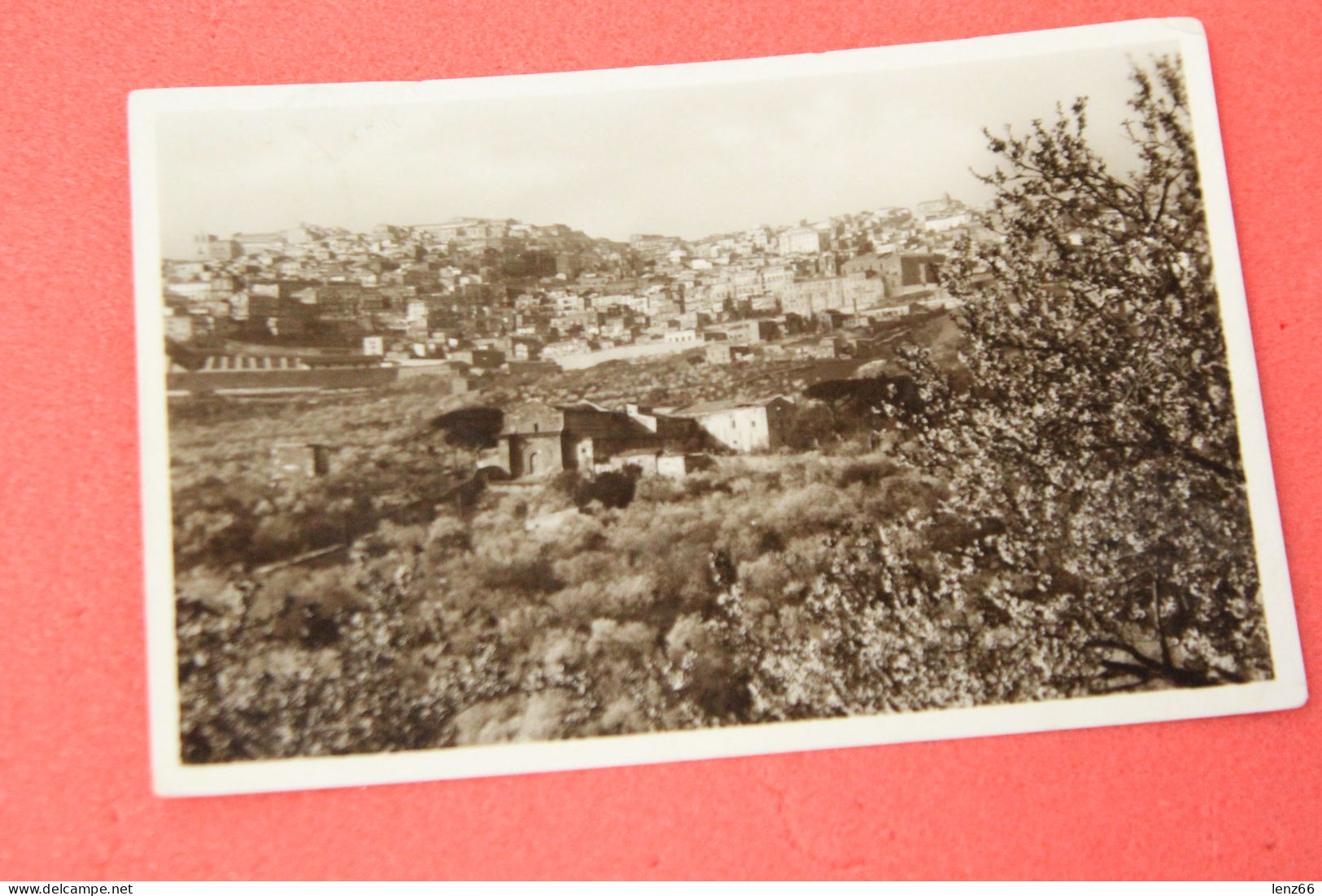 Agrigento Serie Artistica Boschetti Di Mandorle N. 40 Fotocelere 1933 Veduta Non Comune+++++++ - Agrigento