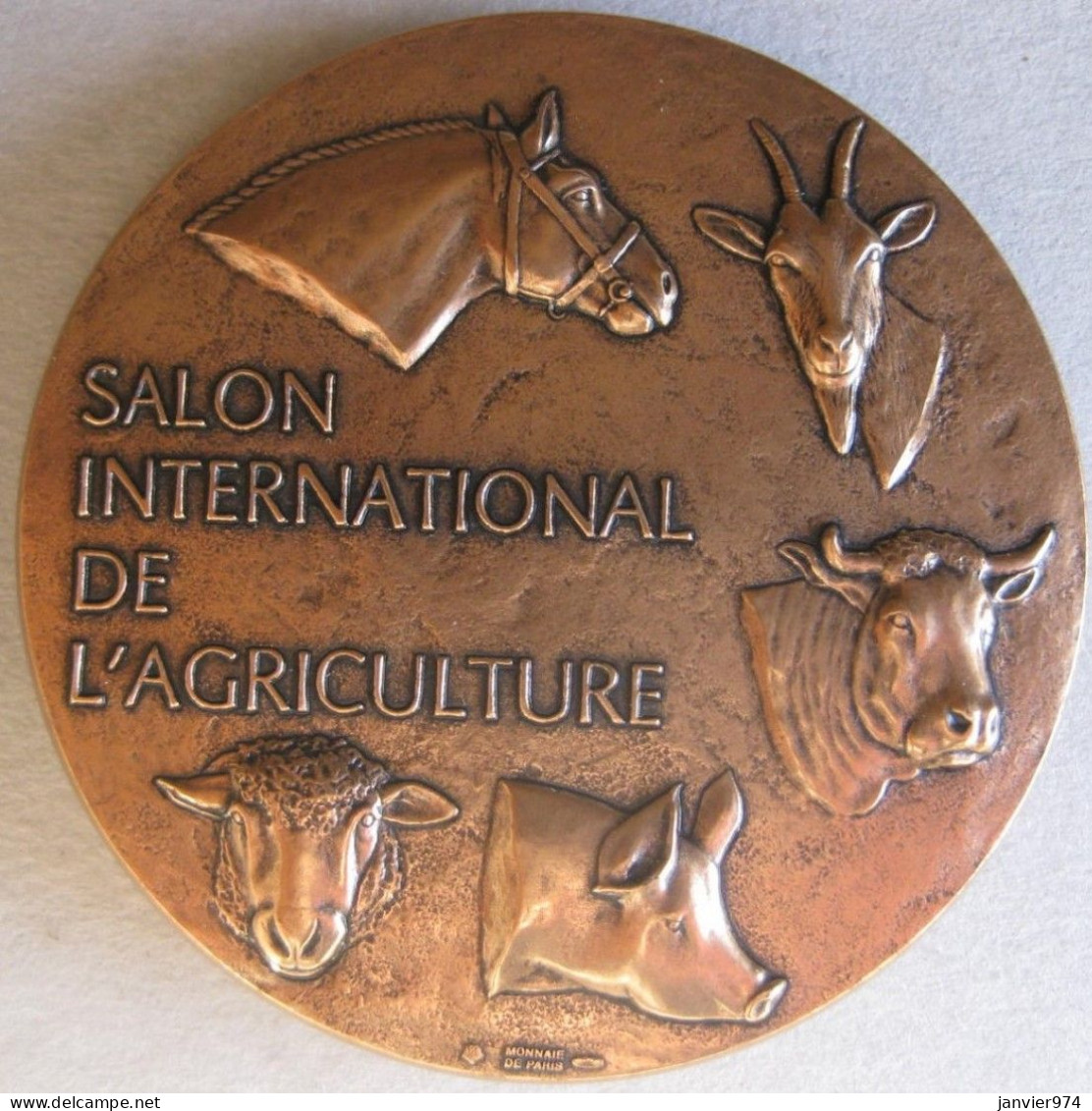 Medaille En Bronze Salon International De L’Agriculture 13e Concours National Montbéliard 2001 - Other & Unclassified