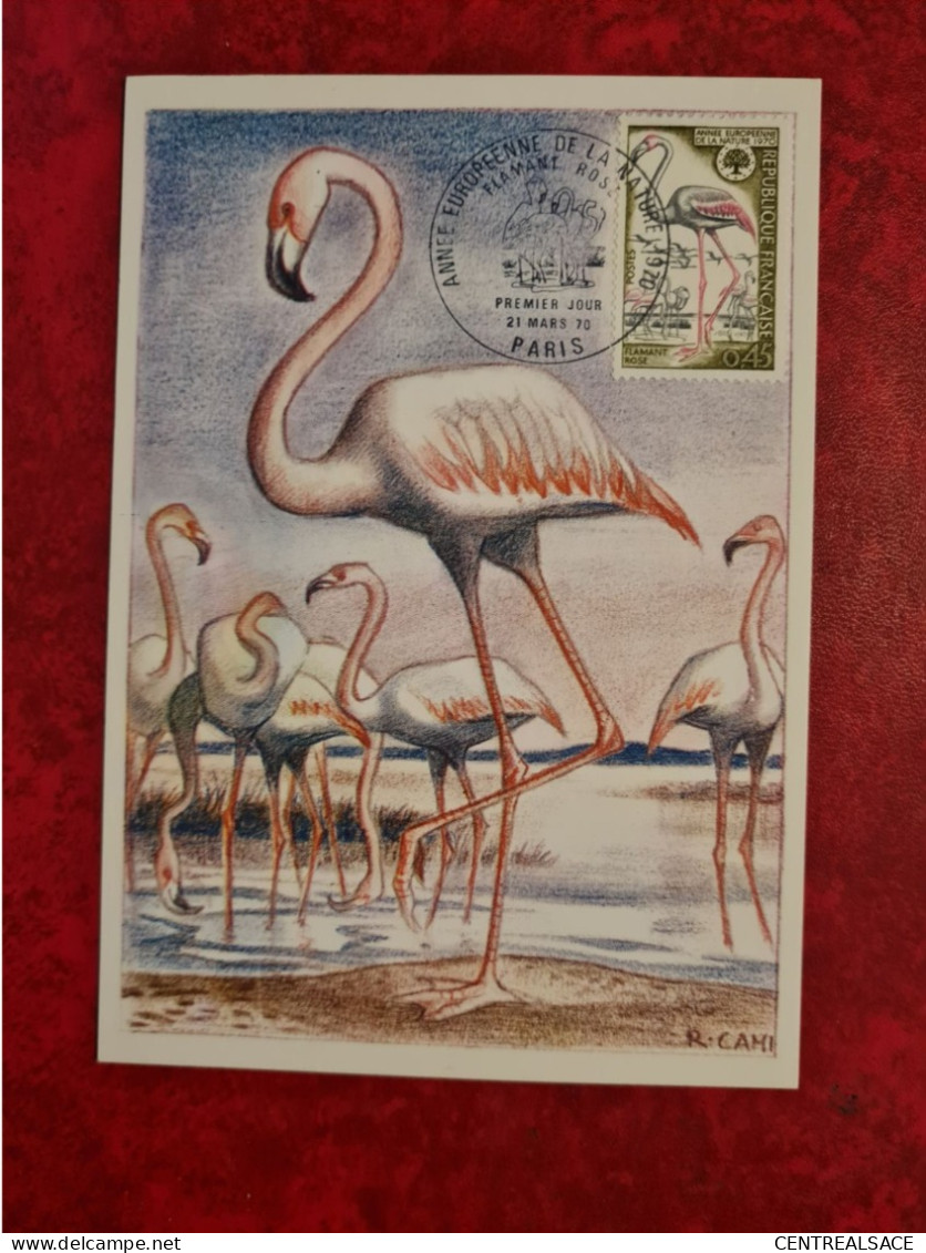 Carte Fdc Maxi 1970 PARIS ANNEE EUROPENNE DE LA NATURE FLAMAND ROSE - 1970-1979