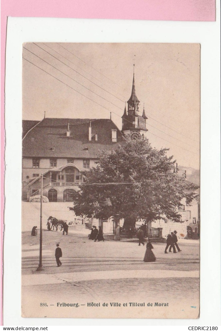 FRIBOURG HOTEL DE VILLE ET TILLEUL DE MORAT ANIMEE - Fribourg