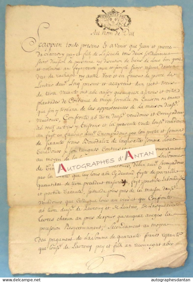 ● Généralité D'AUCH Et PAU 1704 - De Larrouy - Lasseube - De Lentieu ? Grosse De Crompe ? Acte Manuscrit Basses Pyrénées - Matasellos Generales