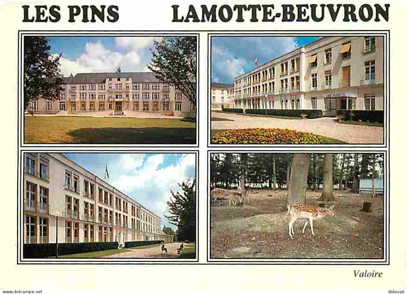 41 - Lamotte Beuvron - Centre Medical Des Pins - Multivues - Le Pavillon Jeanne D'Arc - Deux Aspects Du Pavillon Pasteur - Lamotte Beuvron