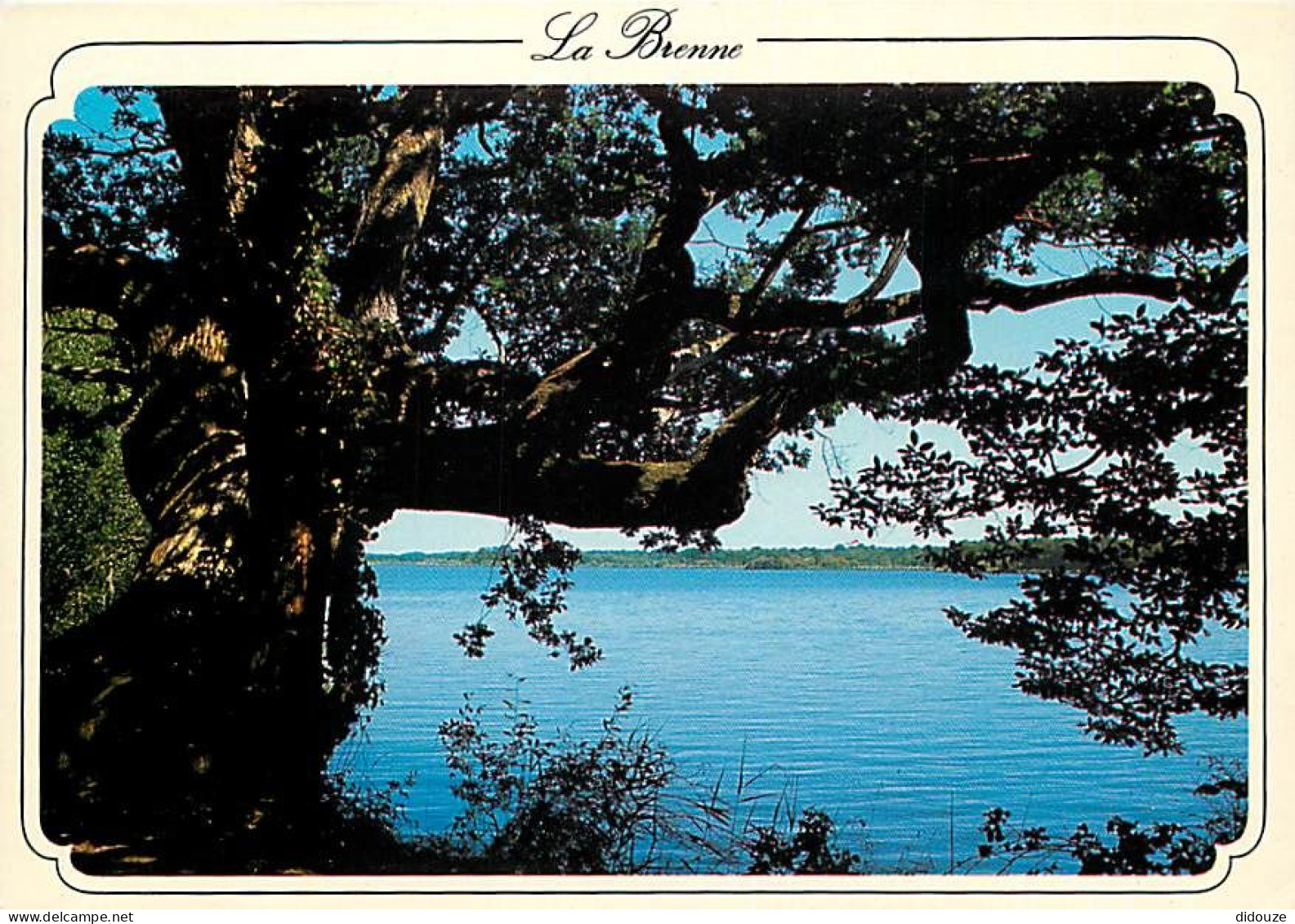 36 - Indre - La Brenne - Pays Des Mille Etangs - Etang De La Mer Rouge 180 Ha - CPM - Voir Scans Recto-Verso - Autres & Non Classés