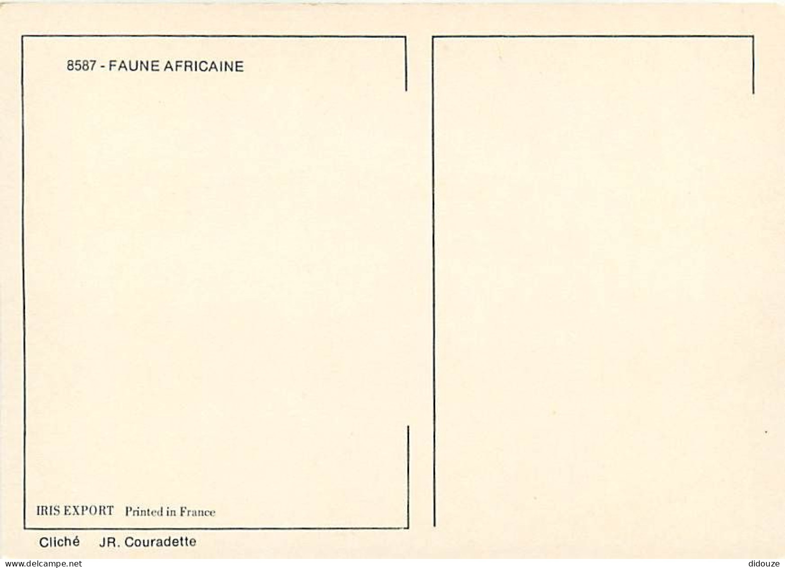 Animaux - Singes - Faune Africaine - 8587 - CPM - Carte Neuve - Voir Scans Recto-Verso - Apen