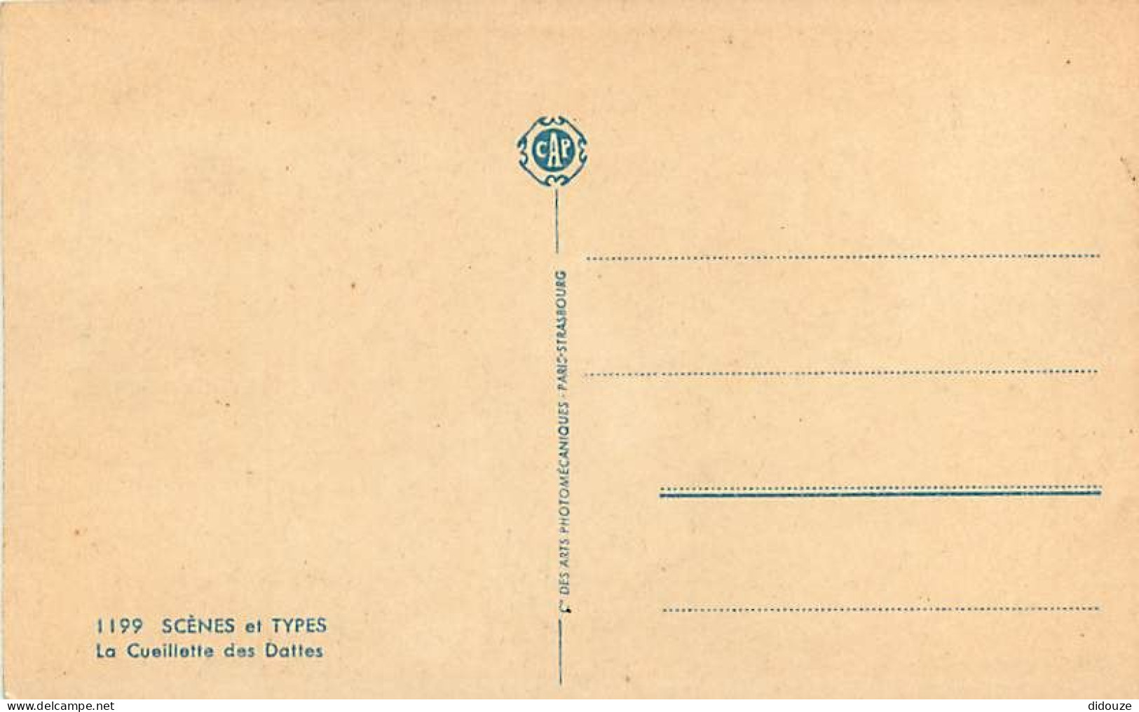 Scènes Et Types - Afrique Du Nord - Récolte De Dattes - Animée - Colorisée - CPA - Carte Neuve - Voir Scans Recto-Verso - Afrique