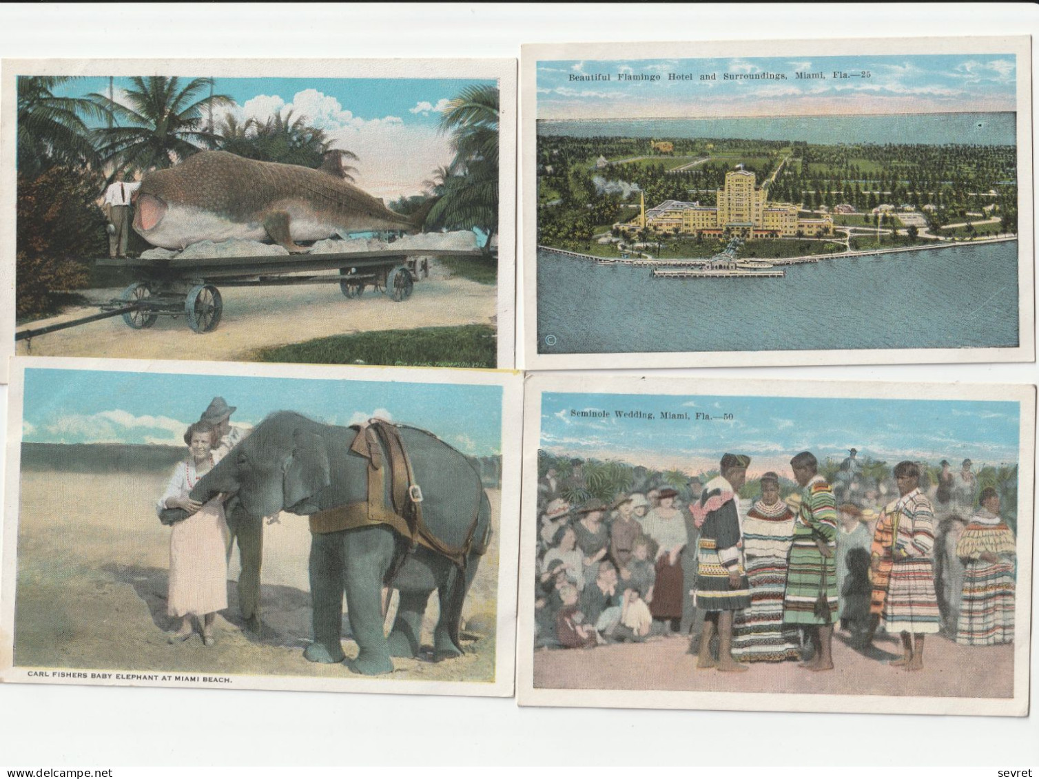 MIAMI  - Lot De  23 Cartes  Beau Lot - Miami