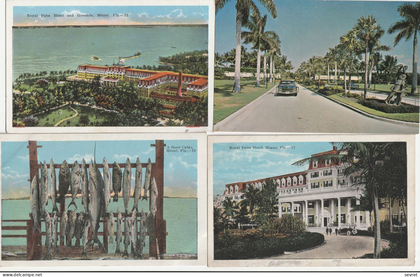 MIAMI  - Lot De  23 Cartes  Beau Lot - Miami