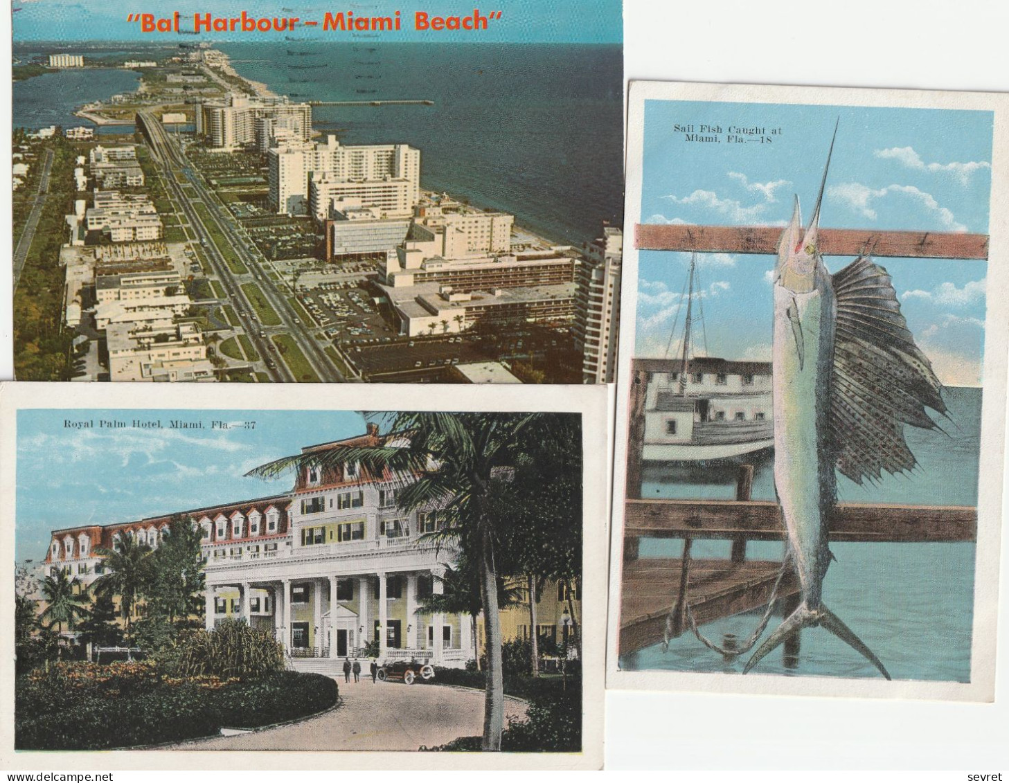 MIAMI  - Lot De  23 Cartes  Beau Lot - Miami