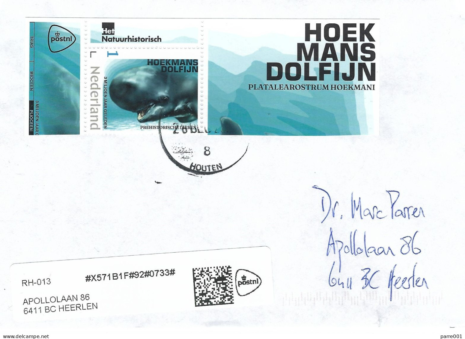 Nederland Netherlands 2023 Houten Blunt-snouted Dolphin Platalearostrum Hoekmani Pilot Whale Prehistory Cover - Prehistóricos