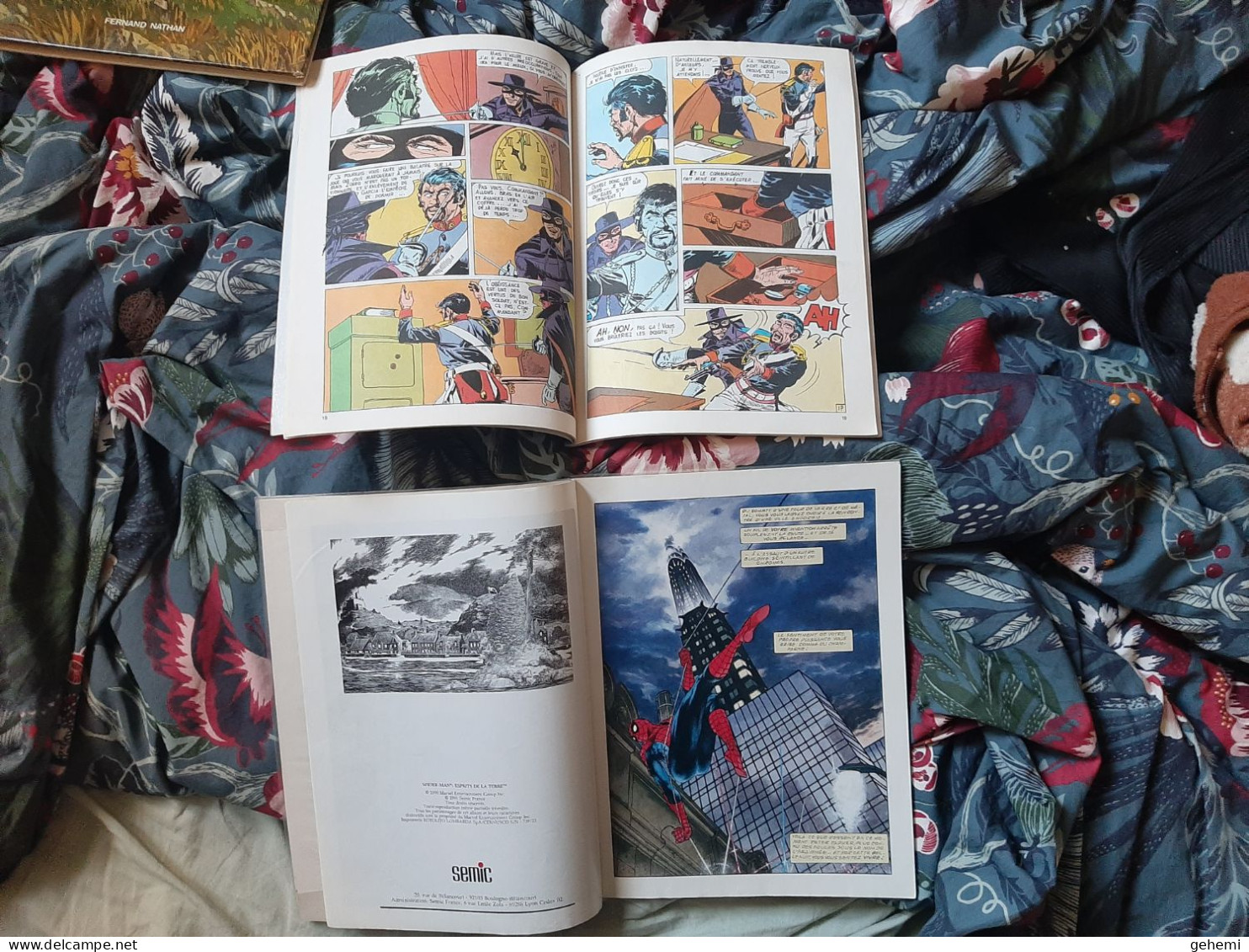 Spider-Man (Esprits De La Terre) Et Zorro Géant N°2 - Paquete De Libros