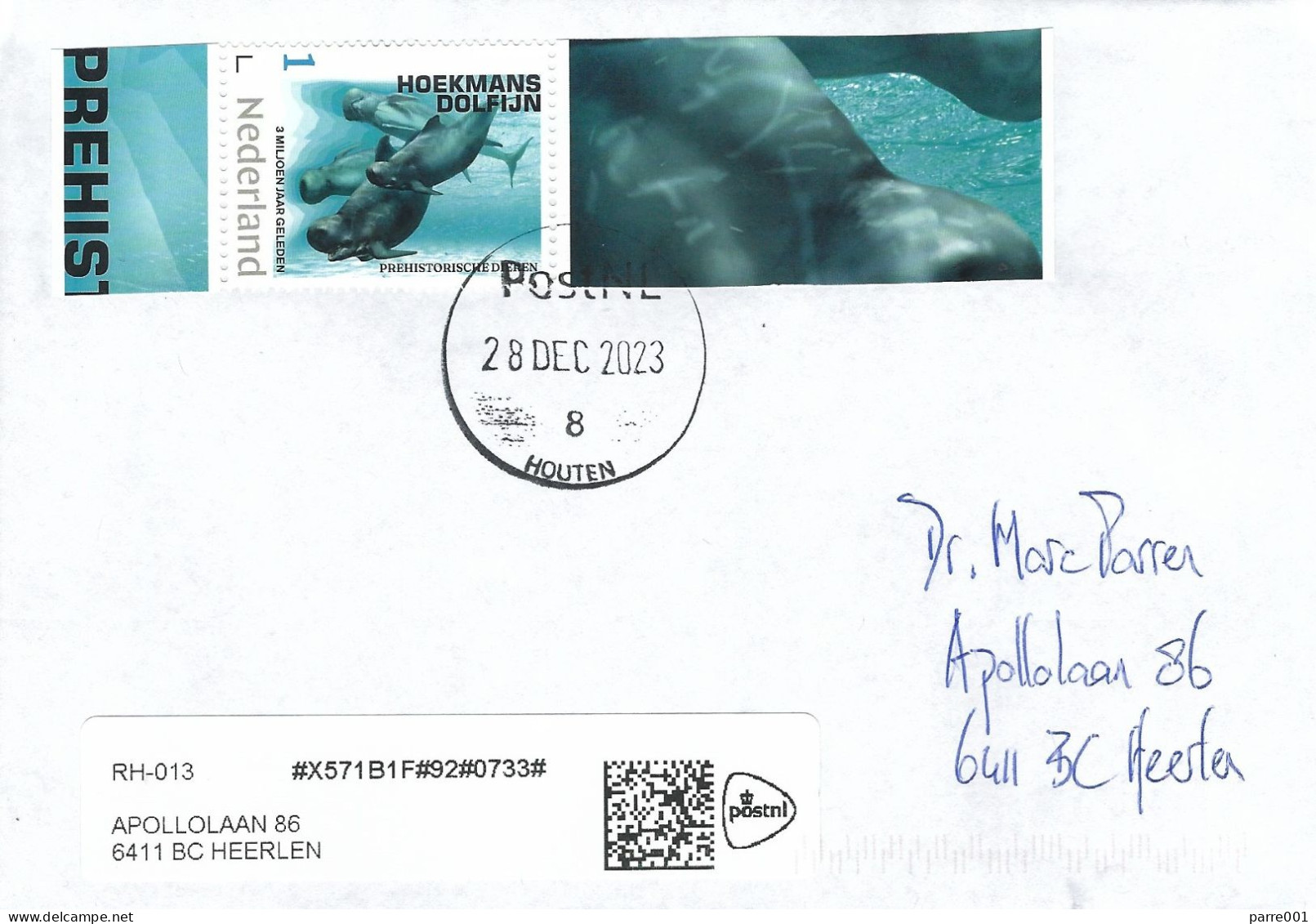 Nederland Netherlands 2023 Houten Blunt-snouted Dolphin Platalearostrum Hoekmani Pilot Whale Prehistory Cover - Delfine